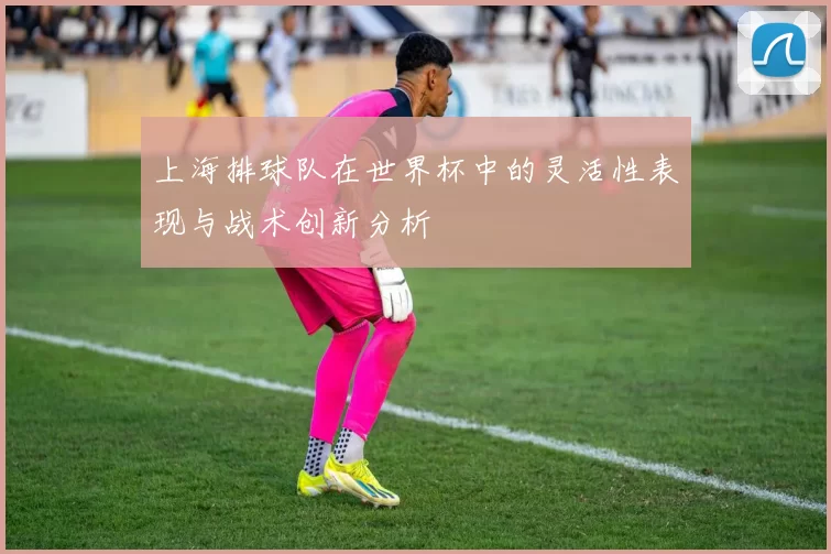 上海排球队在世界杯中的灵活性表现与战术创新分析