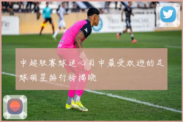 中超联赛球迷心目中最受欢迎的足球明星排行榜揭晓