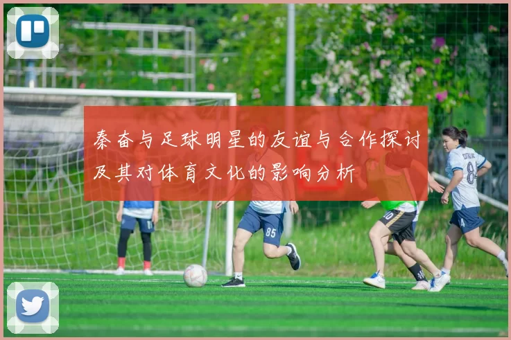 秦奋与足球明星的友谊与合作探讨及其对体育文化的影响分析