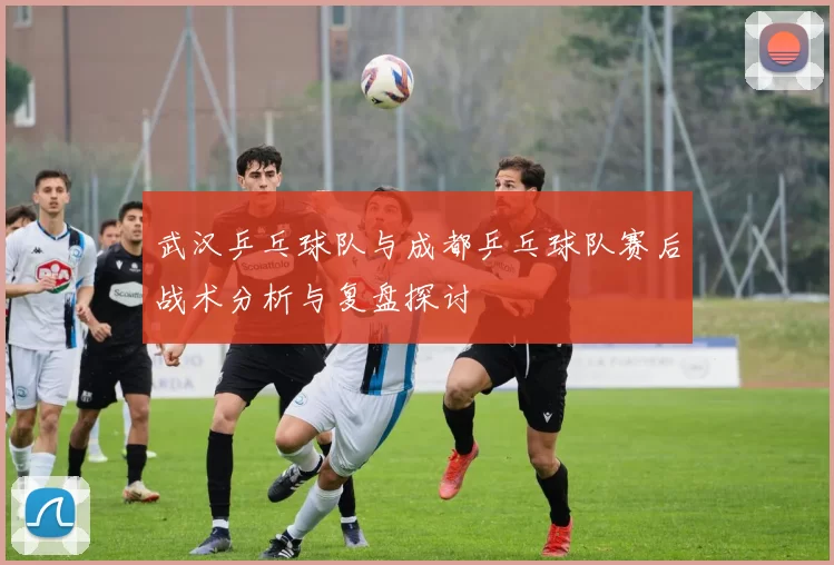 武汉乒乓球队与成都乒乓球队赛后战术分析与复盘探讨