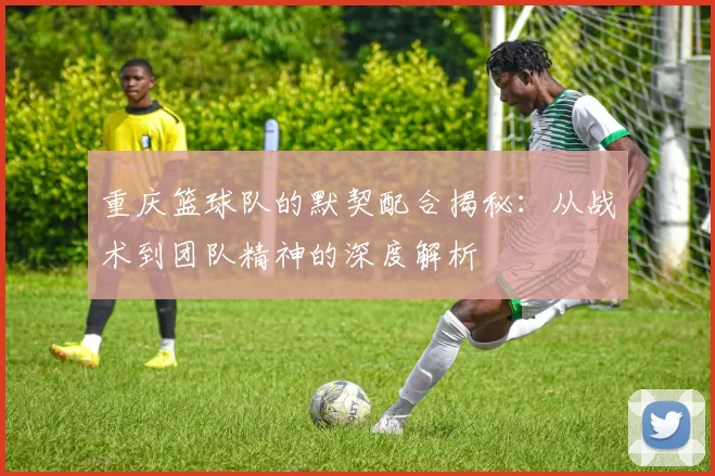 重庆篮球队的默契配合揭秘：从战术到团队精神的深度解析