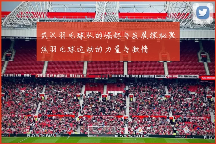 武汉羽毛球队的崛起与发展探秘聚焦羽毛球运动的力量与激情