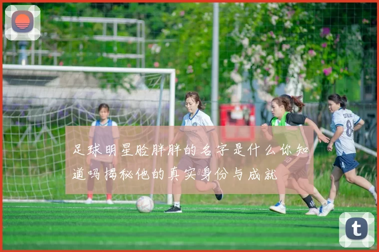 足球明星脸胖胖的名字是什么你知道吗揭秘他的真实身份与成就