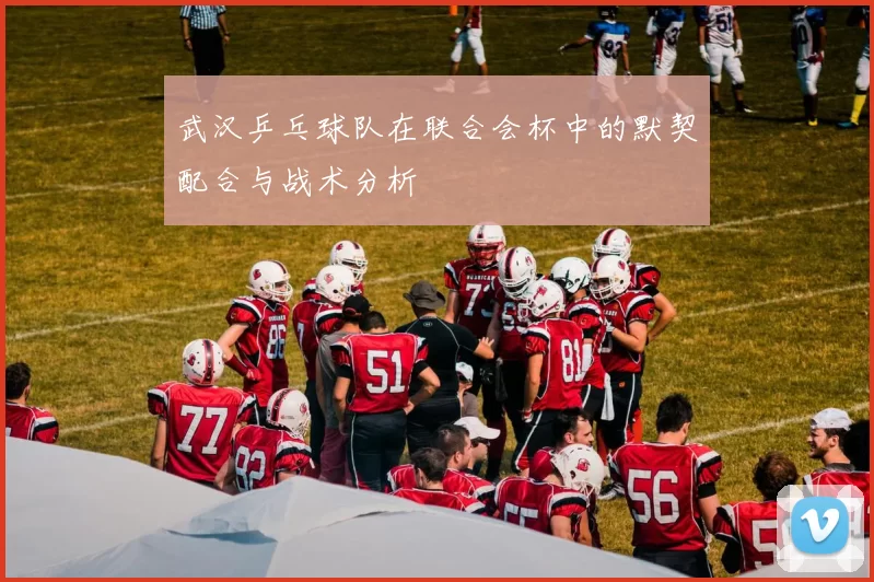 武汉乒乓球队在联合会杯中的默契配合与战术分析