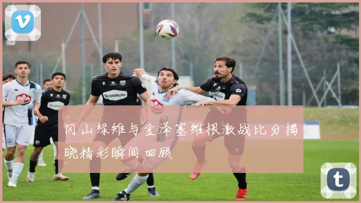 冈山绿雉与金泽塞维根激战比分揭晓精彩瞬间回顾