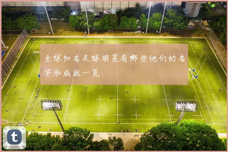 全球知名足球明星有哪些他们的名字和成就一览