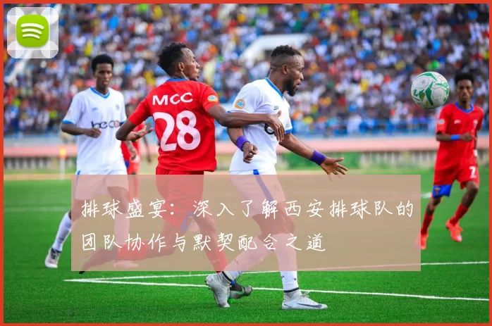 排球盛宴：深入了解西安排球队的团队协作与默契配合之道