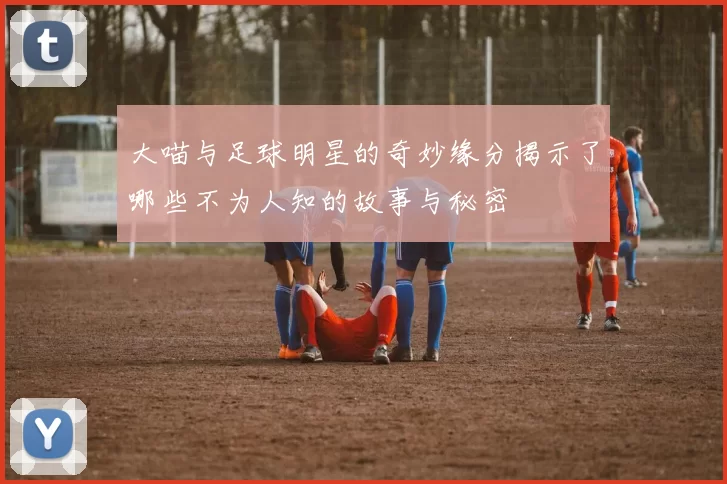 大喵与足球明星的奇妙缘分揭示了哪些不为人知的故事与秘密