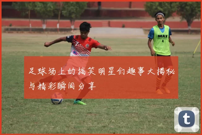 足球场上的搞笑明星们趣事大揭秘与精彩瞬间分享