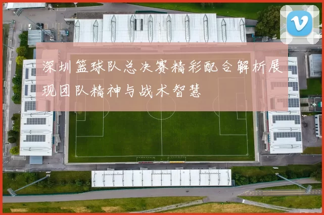 深圳篮球队总决赛精彩配合解析展现团队精神与战术智慧