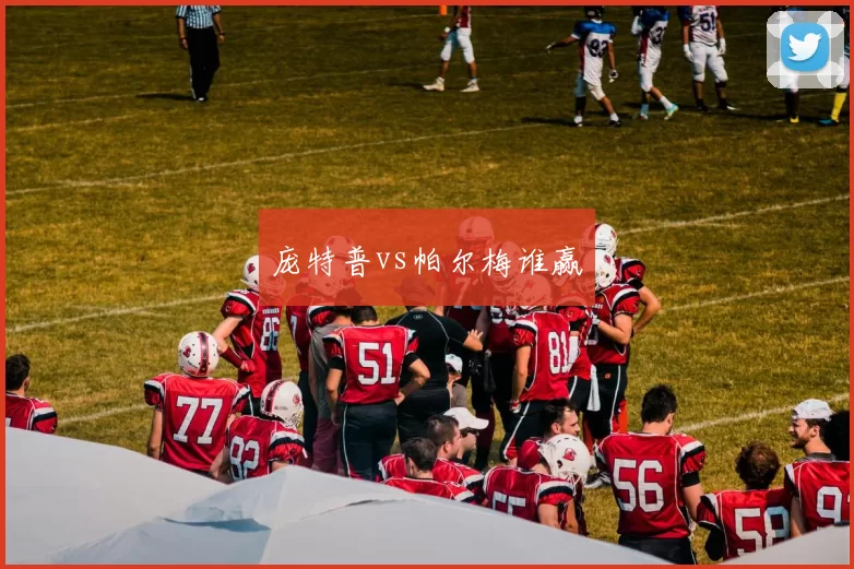 庞特普vs帕尔梅谁赢