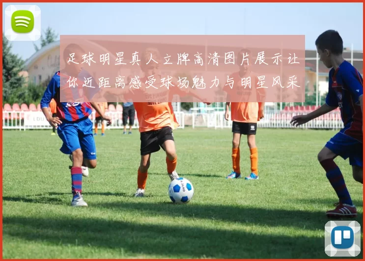 足球明星真人立牌高清图片展示让你近距离感受球场魅力与明星风采