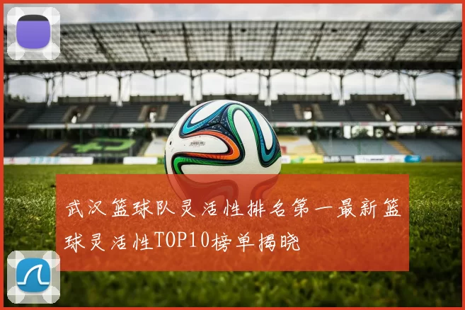 武汉篮球队灵活性排名第一最新篮球灵活性TOP10榜单揭晓