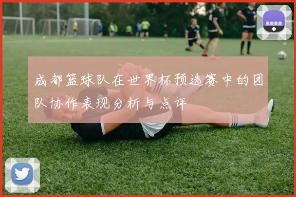 成都篮球队在世界杯预选赛中的团队协作表现分析与点评