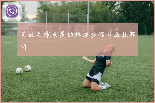 苏姓足球明星的辉煌历程与成就解析