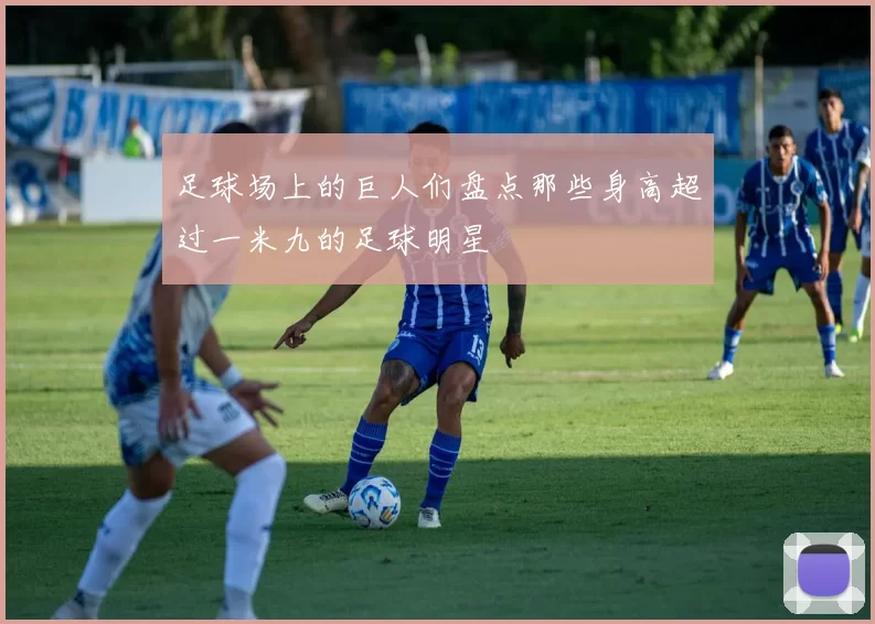 足球场上的巨人们盘点那些身高超过一米九的足球明星