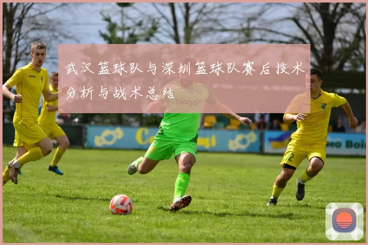 武汉篮球队与深圳篮球队赛后技术分析与战术总结